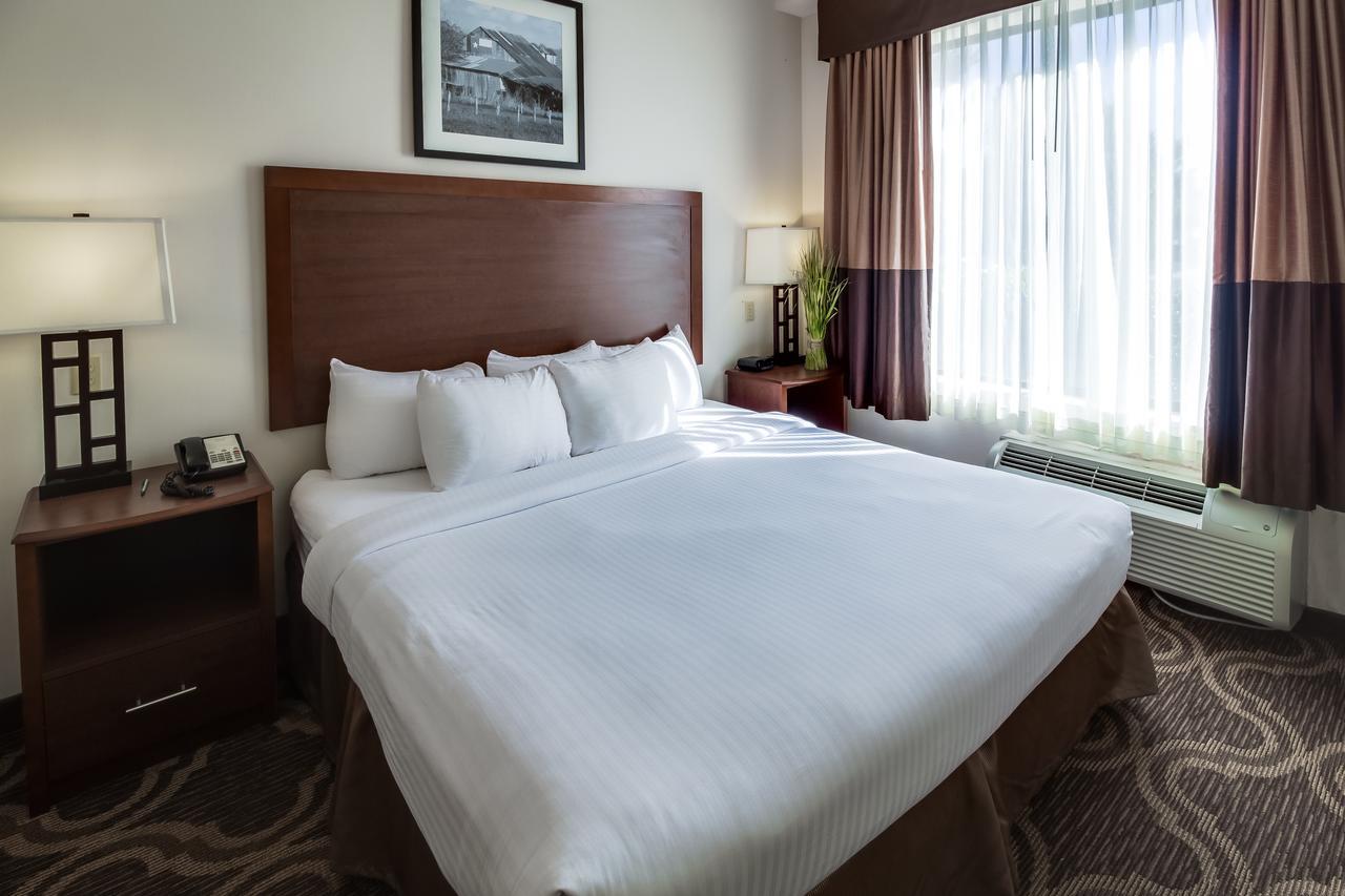 Ashmore Inn And Suites Lubbock Eksteriør bilde